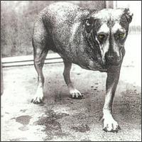 ALICE IN CHAINS - Alice in chains