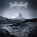 BORKNAGAR - The north DIGIPACK