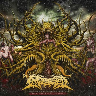 Ingested - Surpassing the boundaries