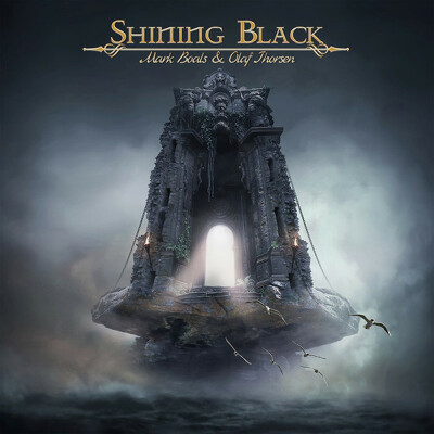 SHINING BLACK - Shining black