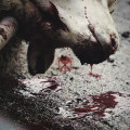 TO THE GRAVE - Directors cut