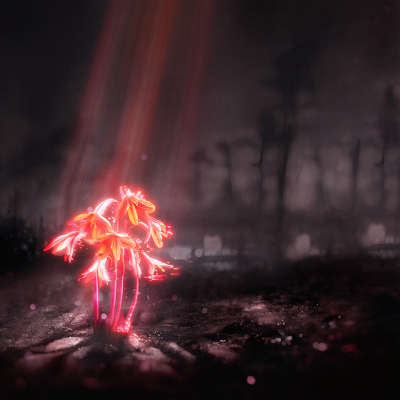 ENTER SHIKARI - A Kiss For The Whole Wor