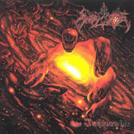 ANGEL CORPSE - The inexorable