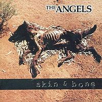 ANGELS - Skin and bone