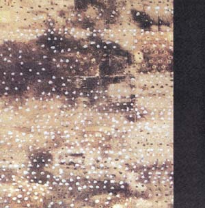 ANGLAGARD - Buried alive