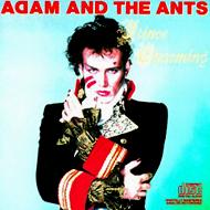 ANT ADAM - Prince charming