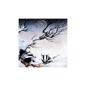 BADGER - One live badger