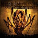 BEYOND THE EMBRACE - Insect song