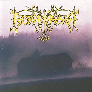 BORKNAGAR - Borknagar