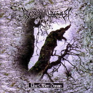 BORKNAGAR - The olden domain