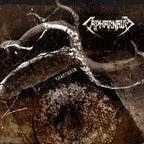 CAPHARNAUM - Fractured