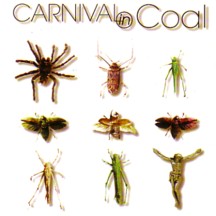 CARNIVAL IN COAL - Fear not