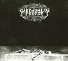 CARPATHIAN FOREST - Black shining leathe