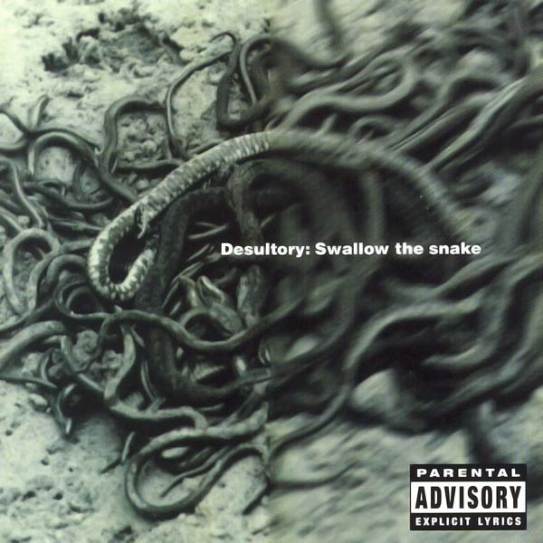 DESULTORY - Swallow the snake