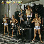 DIMPLE MINDS - Helden den arbeit