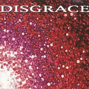 DISGRACE - Superhuman dome