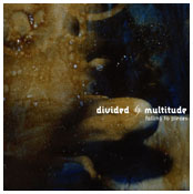 DIVIDED MULTITUDE - Falling to pieces