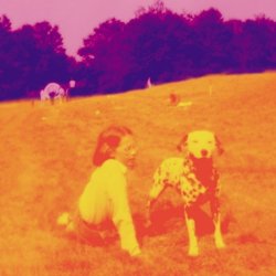 EELS - Blinking lights and other