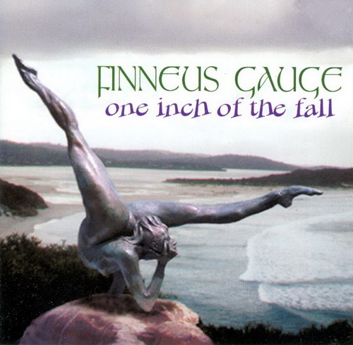 FINNEUS GAUGE - One inch of the fall