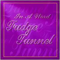 FUDGE TUNNEL - In a word