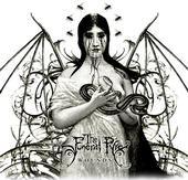 FUNERAL PYRE - Wounds