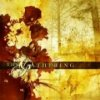 GATHERING - Accessoires - rarities and b