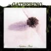 GATHERING - Nighttime birds