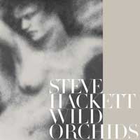 HACKETT STEVE - Wild Orchids