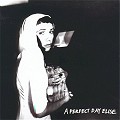 HARVEY P.J. - A perfect day elise - sing
