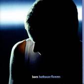 HOTHOUSE FLOWERS - Born