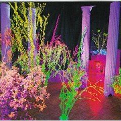HUSKER DU - Warehouse songs and stories