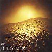 IN THE WOODS - Omnio