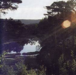 IN THE WOODS - Return to the isle of man