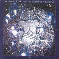 IN THE WOODS - Three times seven on a pi