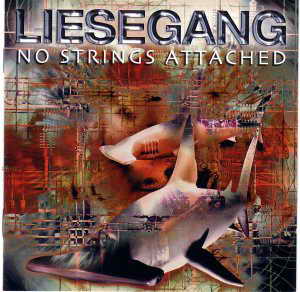 LIESEGANG - No strings attached