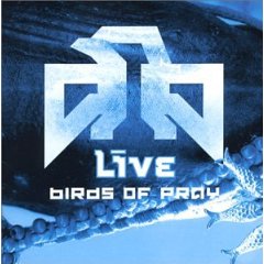 LIVE - Bird of prey