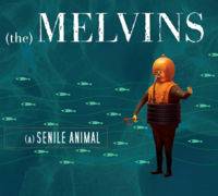MELVINS - A senile animal