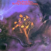 MOODY BLUES - On the threshold of a drea