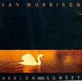 MORRISON VAN - Avalon sunset