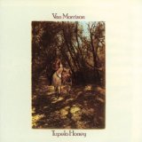 MORRISON VAN - Tupelo honey