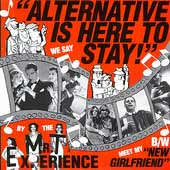 MR.T EXPERIENCE - Alternative is here