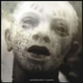 PAIN OF SALVATION - Scarsick