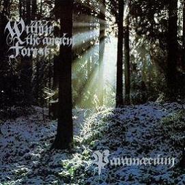 PARAMAECIUM - Within the ancient forest