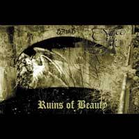 SOURCE OF TIDE - Ruins of beauty