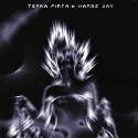 TERRA FIRMA - Harms way