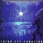 THEORY IN PRACTICE - Third eye function