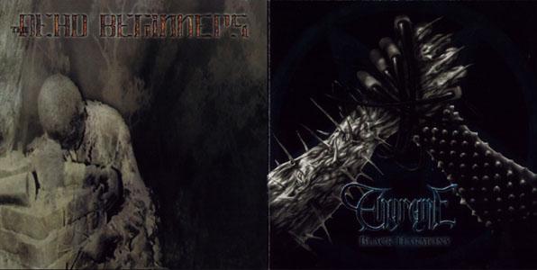 THYRANE/DEAD BEGINNER - Split