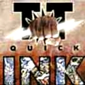 TT QUICK - Ink