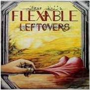 VAI STEVE - Flex-able leftovers