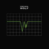 VIRGINIA WOLF - Virginia wolf